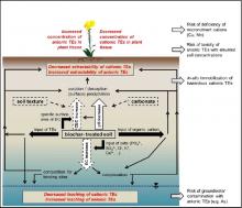 A faforgács alapú bioszén hatása nyomelemekre talaj-víz-növény rendszerben